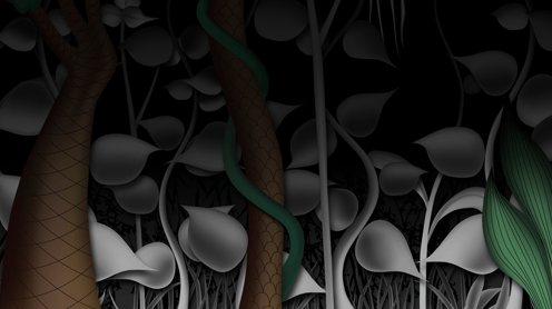 Behind the Scenes of Kiwaka - Astronomy and Mythology Game - App by LANDKA ®