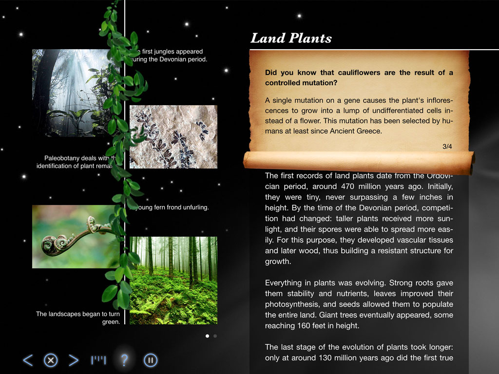 Land Plants - Back in Time - Earth and World History app by LANDKA ®