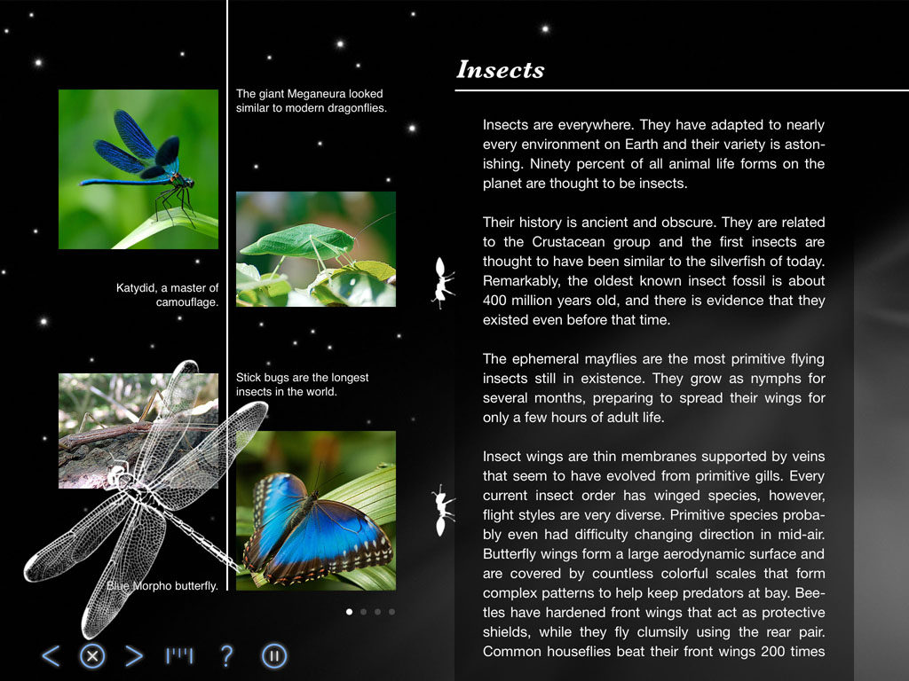 Insects - Back in Time - Earth and World History app by LANDKA ®