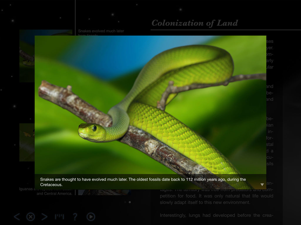 Reptiles - Back in Time - Earth and World History app by LANDKA ®