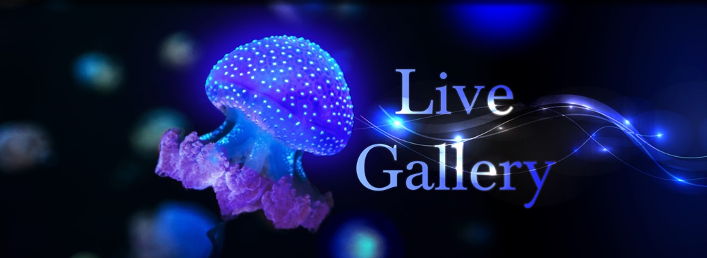 Live Gallery - Nature Screen Display - App by LANDKA