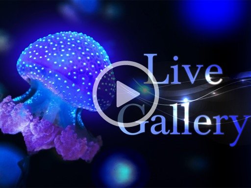 Live Gallery Video - Nature Screen Display - App by LANDKA ®