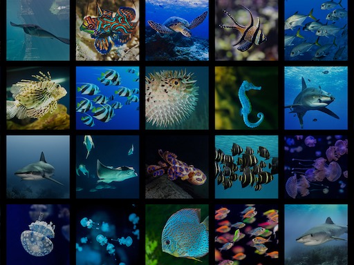 Live Gallery - Nature Screen Display - App by LANDKA ®